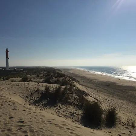 Mobile - Bonne Anse La Palmyre - 8 Pers キャンプ場 レ・マトゥ